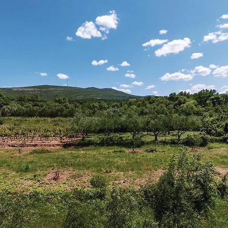 Ribnica-krusevo With Sea View Xi *